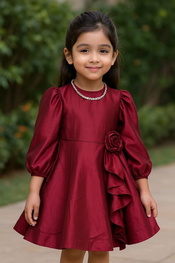 Party Wear Silk Dress
