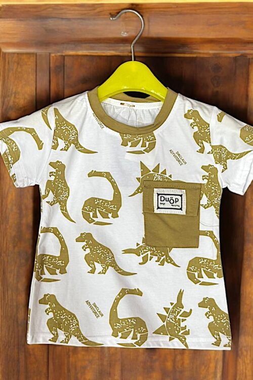Boys 2 Piece Shirt With Shorts