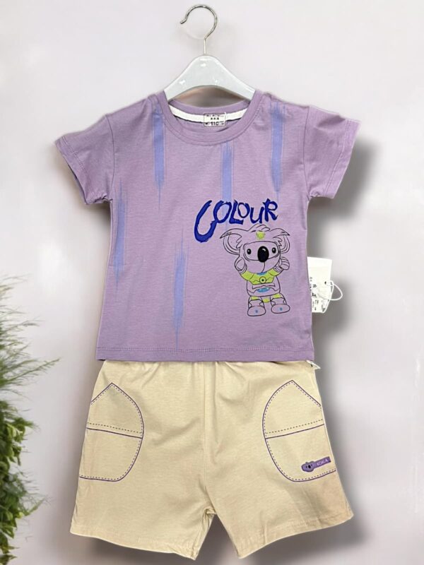 Boys 2 Piece Shirt With Shorts