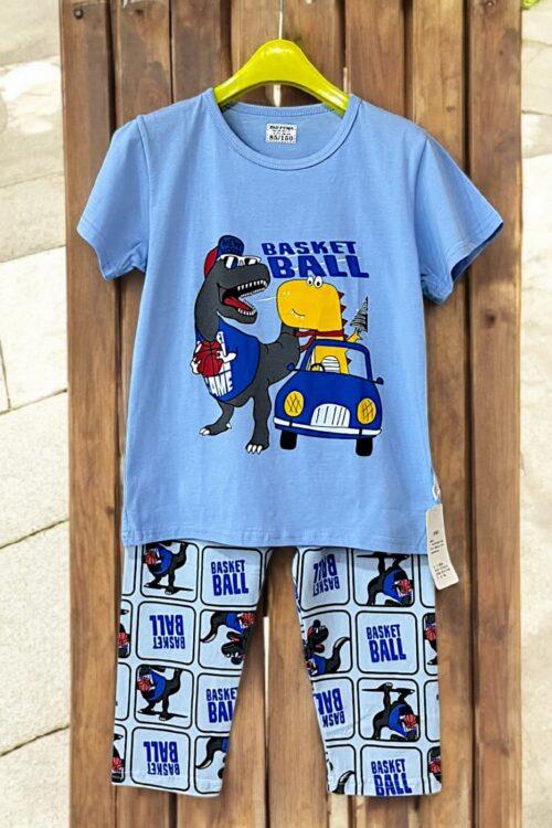 Boys 2 Piece Shirt With Shorts
