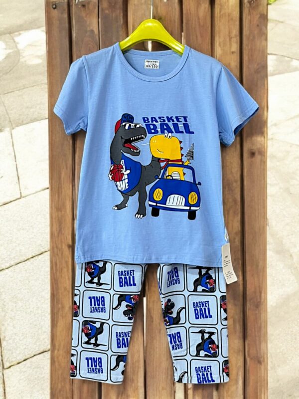 Boys 2 Piece Shirt With Shorts
